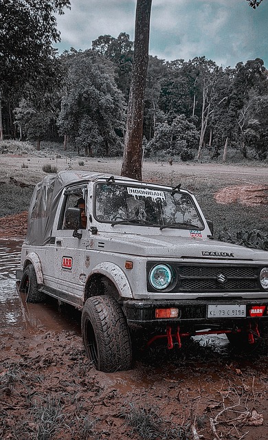 迎仪式可能 迎仪式可能