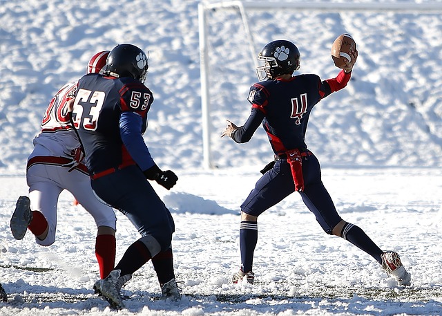 社会心理学 社会心理学