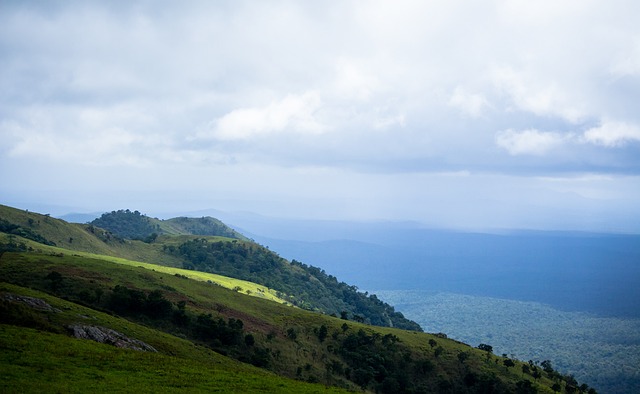 的后备力量 的后备力量